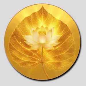 Hoa Sen | Tranh hộp đèn cao cấp | Mã tranh 1390 | Tranh TÂM