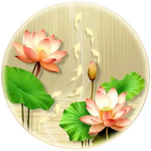 Hoa Sen | Tranh hộp đèn cao cấp | Mã tranh 1436 | Tranh TÂM - Ảnh 6