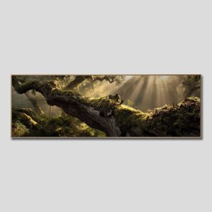 Tranh treo đầu giường | Mã tranh 1593 | Tranh TÂM